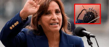 Dina Boluarte con muñeco vudú en investigación Hacen macabro hallazgo con muñeco vudú en cartera de Dina Boluarte