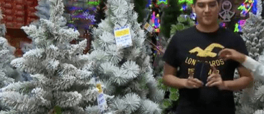 Luces de navidad que funcionan sin electricidad. ¡Revolución Navideña! Luces que iluminan sin electricidad y árboles que no necesitan adornos