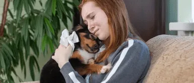 Congreso presenta proyecto de ley para dar licencia por fallecimiento de mascotas ¡Reconocen el dolor animal! Congreso presenta proyecto de ley para dar licencia por fallecimiento de mascotas