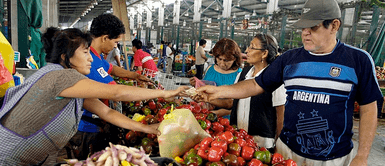 ¿Tus frutas y verduras son seguras? Senasa identifica los alimentos con contaminantes Lista de frutas y verduras con contaminantes en Lima y regiones, según Senasa