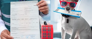 ¿Viajas con tu mascota? Conoce cuales son los requisitos para ingresar o salir del país ¿Viajas con tu mascota? Conoce cuales son los requisitos para ingresar o salir del país
