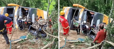 Voces y sombras: misteriosos quejidos en bus que llevaba a escolares y se accidentó en Moyobamba Vigilante revela detalles del accidente de bus que llevaba a escolares en Moyobamba