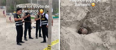Macabro hallazgo en playa de Barranco: un cráneo humano Macabro hallazgo en playa de Barranco: un cráneo humano