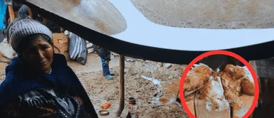 Granizada causa desastres en Huancayo. ¡Desgarrador! Granizada devastadora daña viviendas y causa la muerte de cuyes