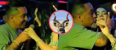 Pamela Franco y Christian Cueva aseguran que no perdonarían una infidelidad ¡Pareja de valores! Pamela Franco y Christian Cueva aseguran que no perdonarían una infidelidad