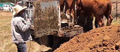 Policía es capturado tras asaltar a ganadero: le robó 10 mil soles y fue detenido en su huida Policía es capturado tras asaltar a ganadero: le robó 10 mil soles y fue detenido en su huida