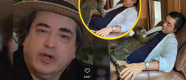 Jaime Bayly luce destrozado por muerte de su gata Jaime Bayly aparece destrozado por muerte de su gatita