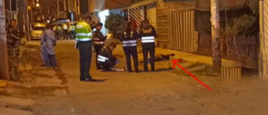 Arequipa: a plena vista de transeúntes, acribillan de tres balazos a barbero Arequipa: a plena vista de transeúntes, acribillan de tres balazos a barbero