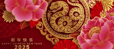 Estos son los peligros que afrontarán los signos del Horóscopo Chino 2025, según reconocida astróloga Estos son los peligros que afrontarán los signos del Horóscopo Chino 2025, según reconocida astróloga