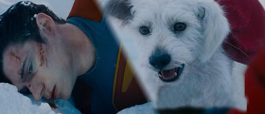 Superman y Krypto son lo más comentado tras el estreno del tráiler de la película de James Gunn James Gunn reinventa a 'Superman': mira el emotivo tráiler del nuevo Hombre de Acero