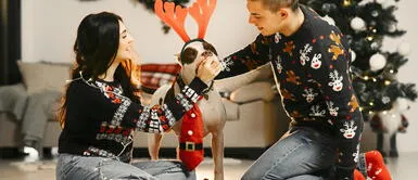 Con estas recomendaciones podrás proteger a tus mascotas. ¿Cómo cuidar de mis mascotas en las fiestas de fin de año?