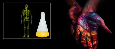 ¿El fin de los rayos X? Científicos desarrollan líquido que hace la piel transparente ¿El fin de los rayos X? Científicos desarrollan líquido que hace la piel transparente