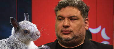 ¿Javier Masías propone cocinar a las ardillas que han “invadido” Lima ¿Javier Masías propone cocinar a las ardillas que han “invadido” Lima?