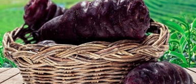 Oro negro andino Oro negro andino: Este es el superalimento que transforma la salud de la próstata y el colon