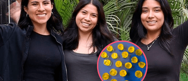 Alumnos de La Agraria crean "gomitas power" para enfrentar largas jornadas de trabajo Alumnos de La Agraria crean "gomitas power" para enfrentar largas jornadas de trabajo: "Eleva tu concentración"