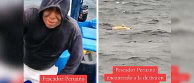 Ecuatorianos encuentran a PESCADOR PERUANO perdido en MEDIO DEL MAR Ecuatorianos encuentran a PESCADOR PERUANO perdido en MEDIO DEL MAR