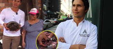 Chef Rodrigo Fernandini es funado por cocinar tortuga, especie vulnerable en la Amazonía. Chef Rodrigo Fernandini genera indignación por cocinar animal vulnerable de la Amazonía: "¿todo por likes?"
