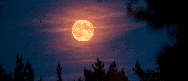 Calendario lunar enero 2025: cuándo hay luna llena y las demás fases lunares Enero 2025 bajo la luz de la Luna: ¿Cuándo ocurren sus fases lunares más impactantes?