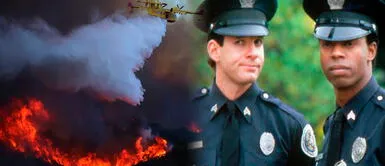 Steve Guttenberg fue parte de la saga 'Locademia de policías' Legendario actor es un héroe real: ayudó a bomberos en incendios de California