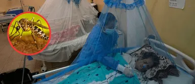 Crisis sanitaria por aumento de casos de dengue. ¡Alarma en Perú! Crisis sanitaria inminente por dengue descontrolado: 'Estamos peor que antes de la pandemia', advierte experto
