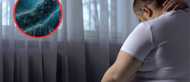 Un virus podría estar detrás del descontrol al comer y el aumento de la obesidad ¡Alerta Mundial! Un virus desconocido podría ser el culpable del descontrol alimenticio y el aumento alarmante de la obesidad