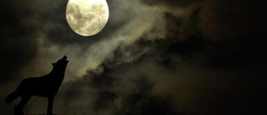 ¿Cuándo cae luna llena en enero 2025, según el Calendario Lunar? ¿Cuándo cae Luna Llena en enero 2025, según el Calendario Lunar?