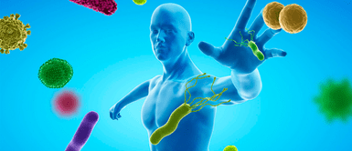 Para qué sirve la vitamina B6 y por qué es importante para la salud. La vitamina que estás dejando de tomar y que pone en riesgo tu salud: fortalece tu sistema inmunológico y previene la anemia