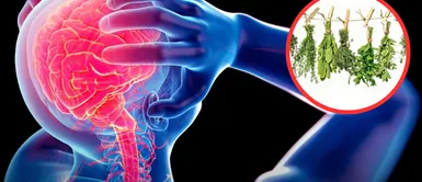 Con esta hierba combatirás el estrés, según una experta de Harvard. La hierba que te ayuda a deshacer el estrés, fácil de conseguir y es avalada por experta de Harvard