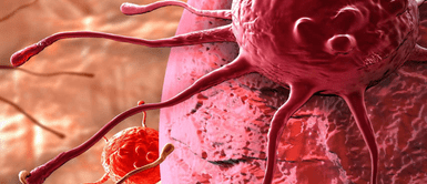 Hambre y cáncer. Científicos revelan método para destruir tumores cancerígenos a través del hambre: ¿la cura o un nuevo peligro?