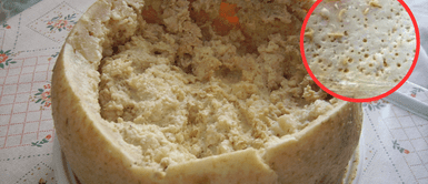 Queso con gusanos. El queso que se come con todo y gusanos es considerado el más peligroso del mundo