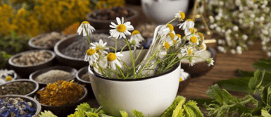 Plantas medicinales. Las hierbas 'milagrosas' que repelen ratones, cucarachas, moscas y mosquitos de forma natural