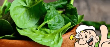 Espinaca. La ciencia revela la manera correcta de comer espinacas para aumentar la masa muscular
