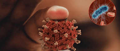 Nueva bacteria. El surgimiento de nueva superbacteria pone en alerta a los científicos