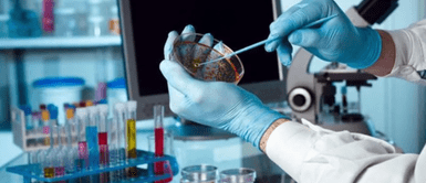 cáncer. Niño de 11 años descubre en las heces de un ganso un compuesto que podría combatir el cáncer