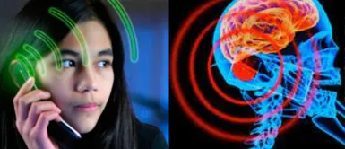 Uso excesivo del celular causaría cáncer. El uso excesivo del celular podría estar acelerando el cáncer sin que lo sepas