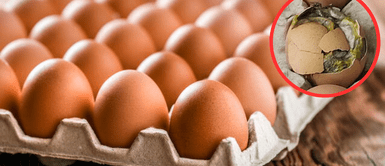 Estado del huevo. Ni una semana ni un mes: cuánto tiempo pueden durar los huevos en el refrigerador