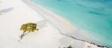 Aruba es reconocida como el destino número 1 del Caribe en el Ranking Mundial de los Travelers’ Choice Awards 2025. Aruba se posiciona como el mejor destino del Caribe en los Travelers' Choice de Tripadvisor 2025