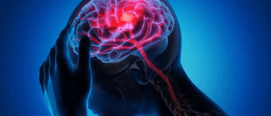 Cerebral. Un estudio descubre la sorprendente edad en la que comienza a envejecer nuestro cerebro