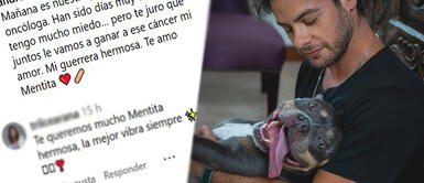 Andrés Wiese expresó sus miedos tras conocer que su perrita tiene cáncer. Andrés Wiese conmueve a seguidores al revelar que su perrita Menta padece de cáncer: “Te juro que venceremos”