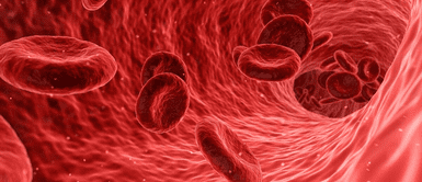 Sangre. Científicos descubren que las personas con este grupo sanguíneo envejecen más lento