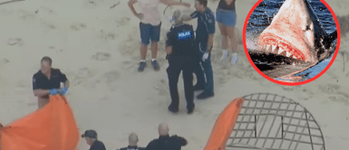 Tiburón en playa. Adolescente muere tras ser atacada por un tiburón mientras nadaba en playa