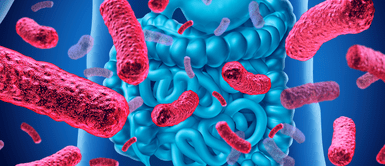 Probióticos. El increíble poder oculto de los probióticos: Cómo pueden transformar tu salud y protegerte de enfermedades