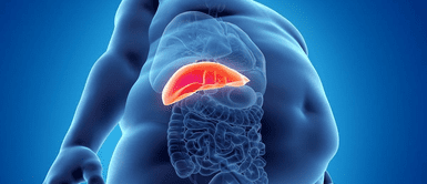 Hígado graso. Estas 7 frutas podrían ser la clave para eliminar el hígado graso, según expertos
