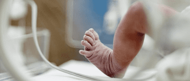 Bebé en incubadora. Bebé sufre fractura de cráneo tras caer de incubadora y lucha por su vida en UCI