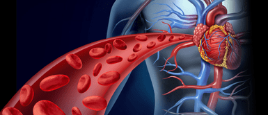 Triglicéridos. Triglicéridos altos: la amenaza silenciosa que podrías estar ignorando