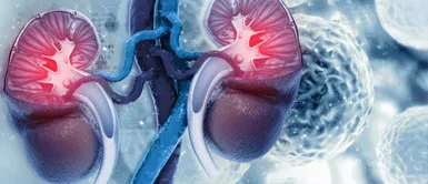 Cáncer de riñón. Revolución médica: crean una vacuna con eficacia del 100% contra el cáncer de riñón