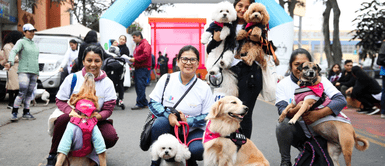Pet Run 5k: Participa de una gran carrera acompañado de tu mascota Pet Run 5k: Participa de una gran carrera acompañado de tu mascota