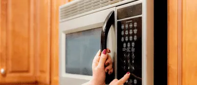 Microondas. La aterradora verdad sobre los microondas y su impacto en la salud que nadie te ha contado