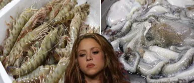 Los exóticos ingredientes que trae el plato que habría intoxicado a Shakira Los exóticos ingredientes que trae el plato que habría intoxicado a Shakira