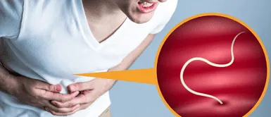 Parásitos en el intestino. La planta prohibida que elimina parásitos intestinales: el secreto oculto que la industria no quiere que descubras